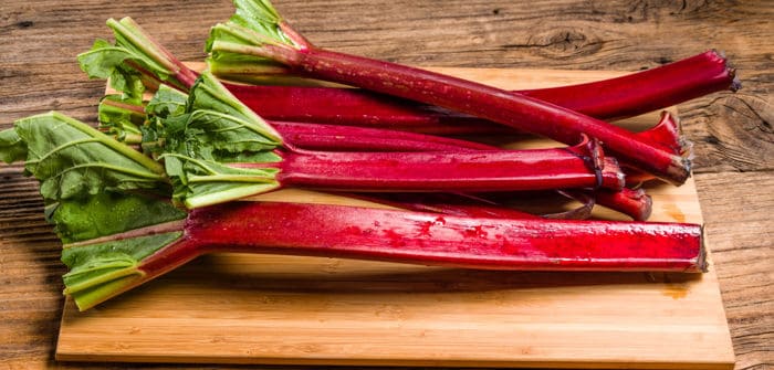 Image of maincrop rhubarb