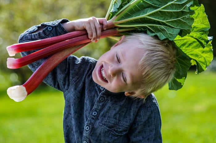 lachende jongen met rabarberbos