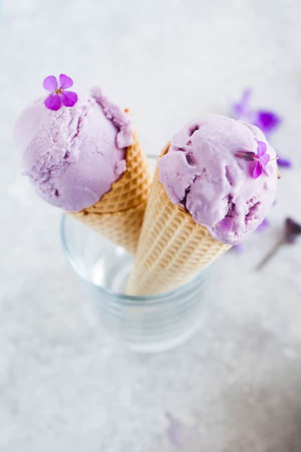 Coconut & Purple Sweet Potato Ice Cream