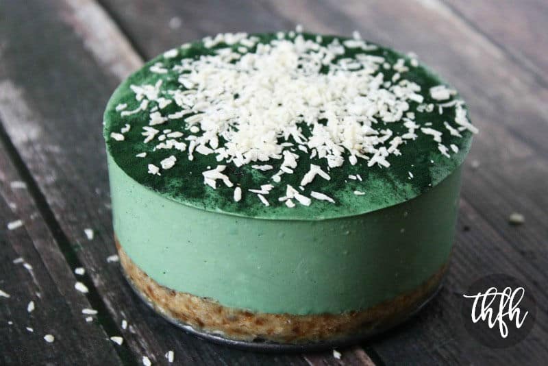 No-Bake Spirulina Cheesecake with Spiral Spring Spirulina Maxima