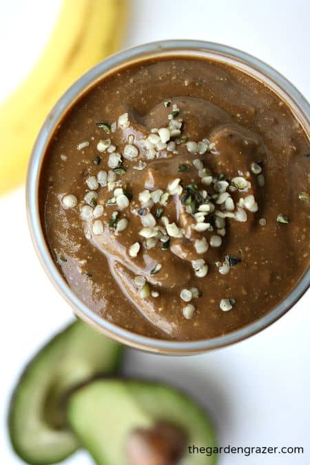 Chocolate Hemp Power Smoothie