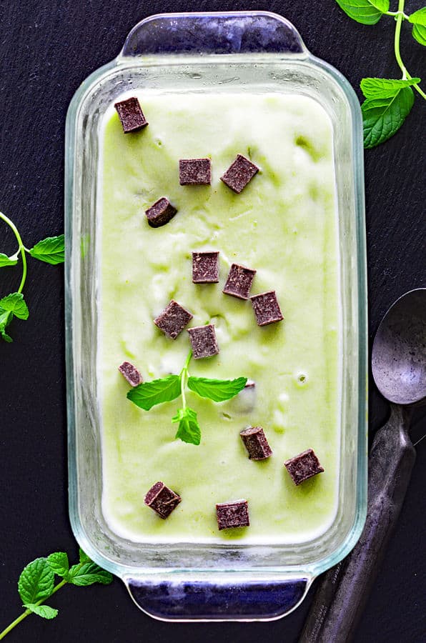 Mint Chocolate Chip Ice Cream