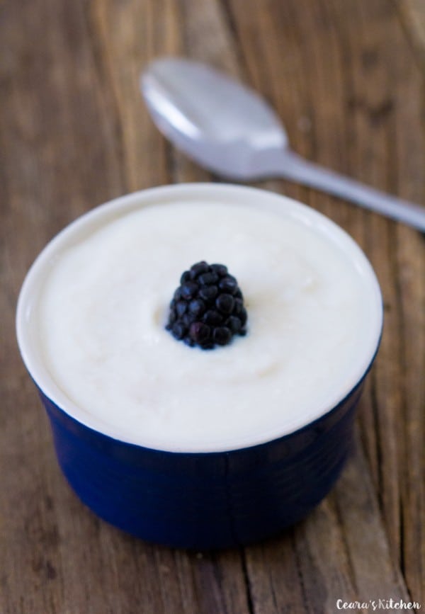 Vegan Soy Yogurt