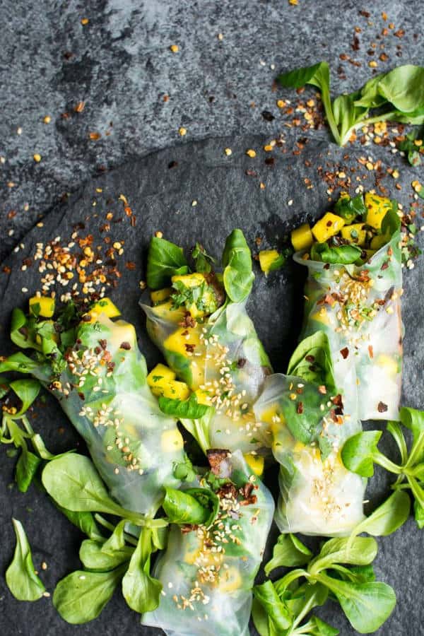 Winter Spring Rolls Two Ways