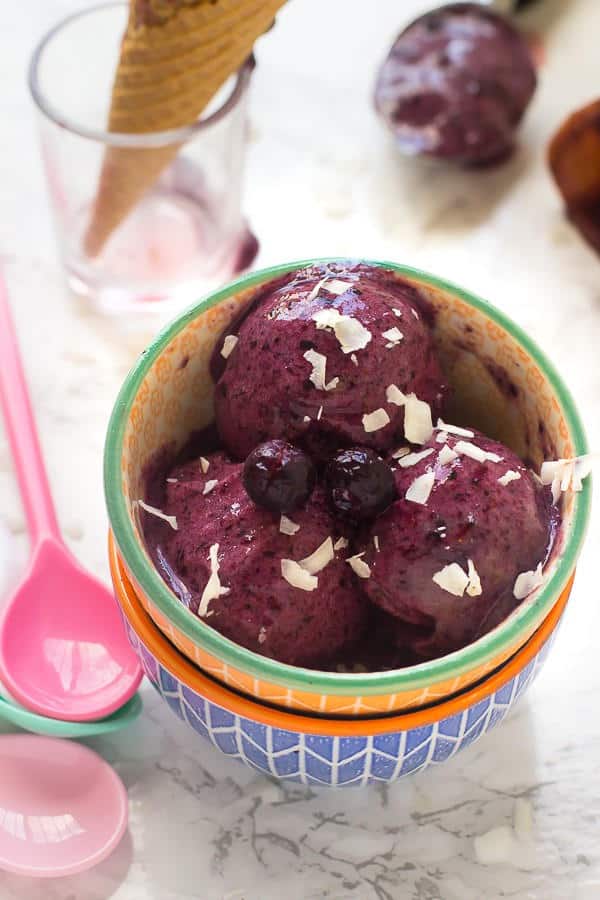 Blueberry (Nice) Ice Cream