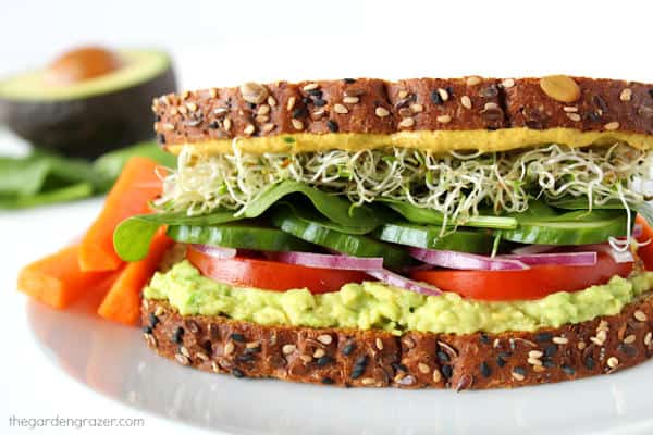 Avocado Veggie Sandwich