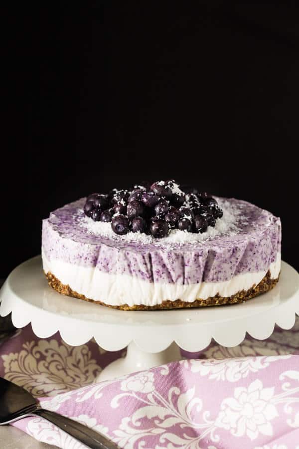 Blueberry Coconut Frozen Cake