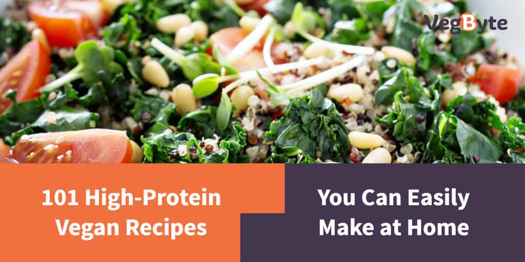 101 HighProtein Vegan Recipes You Can Easily Make at Home VegByte