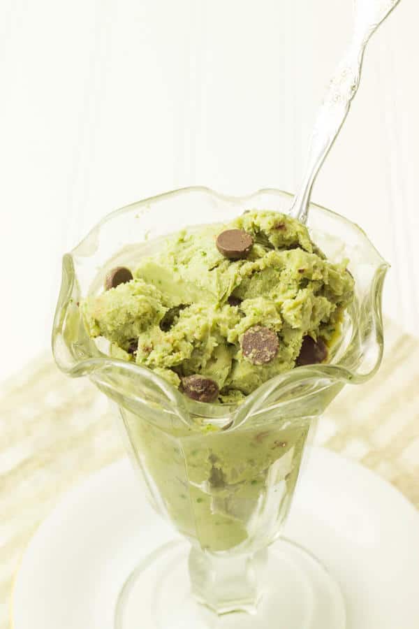 Mint Chocolate Chip Avocado Protein Ice Cream