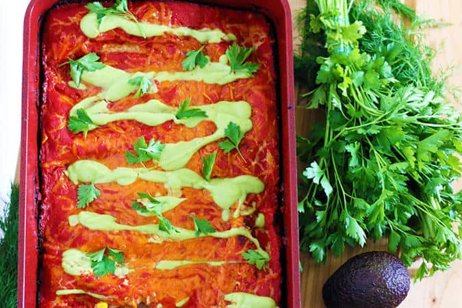 Protein Power Vegan Enchiladas