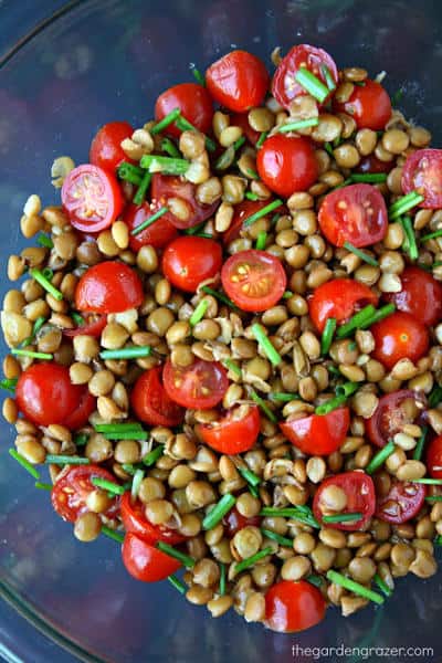 5-Minute Lentil Tomato Salad