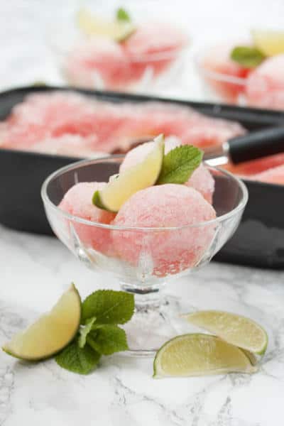 Mint and Watermelon Sorbet