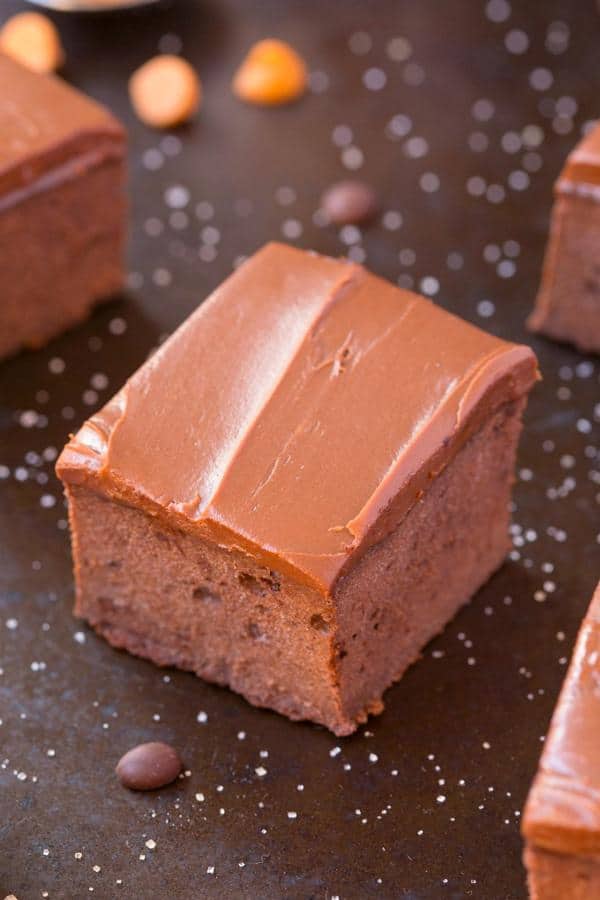 Flourless Paleo Pumpkin Brownies (Gluten-Free)