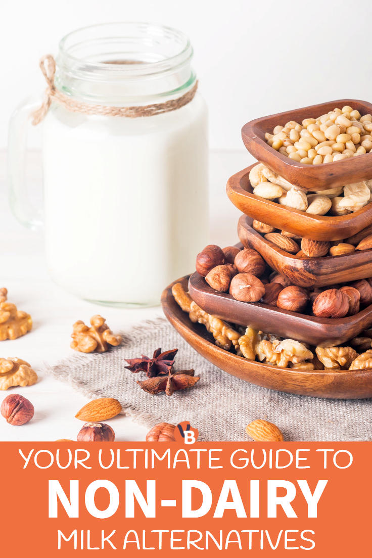 Your Ultimate Guide to Non-Dairy Vegan Milk Alternatives