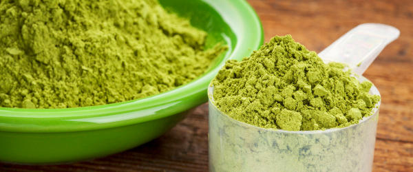 Moringa oleifera powder