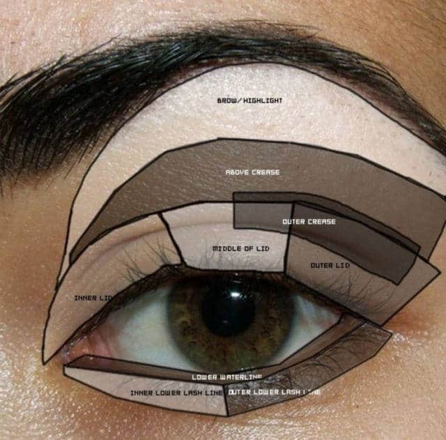 Illustration of eyeshadow application areas