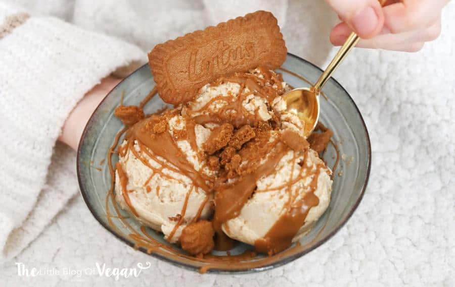 Simple Biscoff Ice Cream