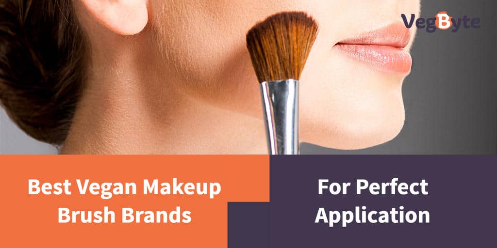 7 Best Vegan Makeup Brush Brand Reviews (2021) VegByte