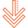 Double arrow down icon